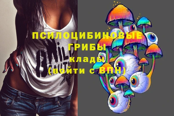 MESCALINE Аркадак