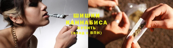 сатива Арсеньев