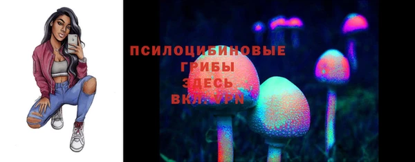 MESCALINE Аркадак