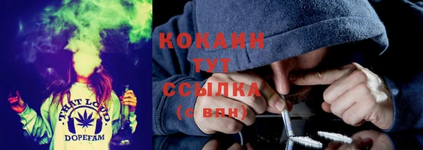 сатива Арсеньев