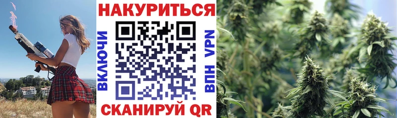 Конопля план  магазин  наркотиков  Заозёрск 
